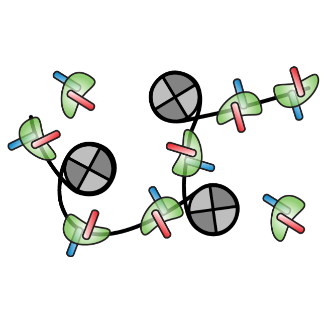 Simplified ATAC-seq protocol on frozen brains of fruit flies