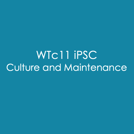 WTc11 iPSC Culture and Maintenance