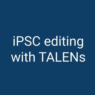 iPSC editing with TALENs