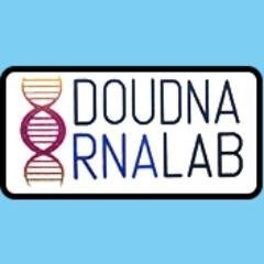 DNA/RNA Radiolabeling Protocol