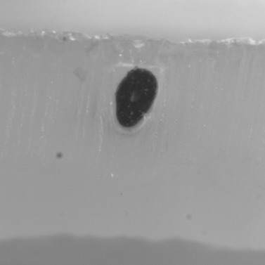 Sample preparation protocol for cross-sectional microscopy of hair fibers