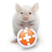 Icon representing the file ANY-maze Protocol (Elevated Plus Maze) v6.2