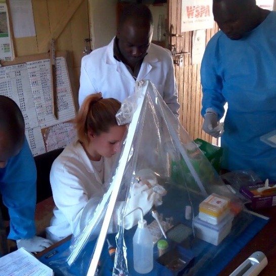RNA extraction from field-collected brain tissue samples from suspect rabid animals