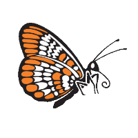 Q5® Site-Directed Mutagenesis (E0554)