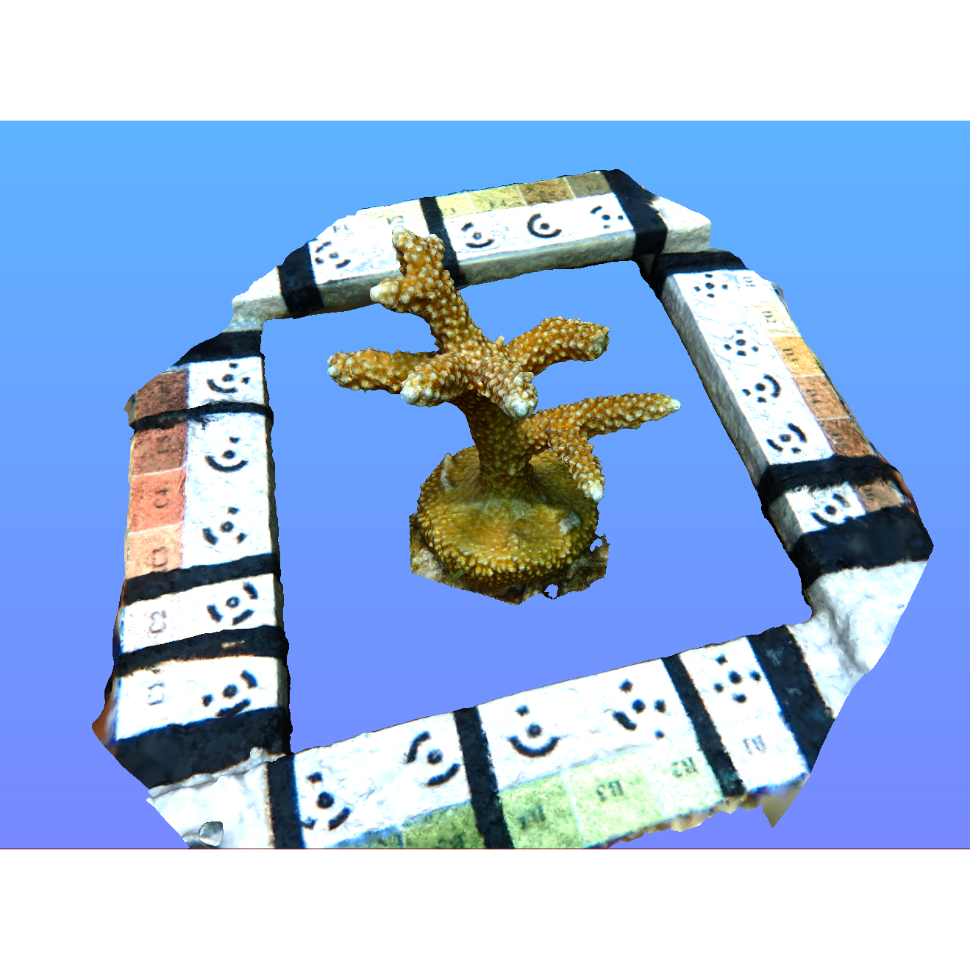 Phenotyping 3D coral models in MeshLab