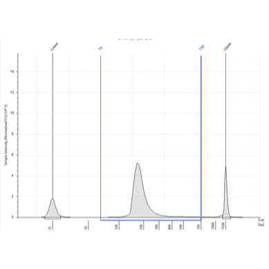         Amplification and Pooling 