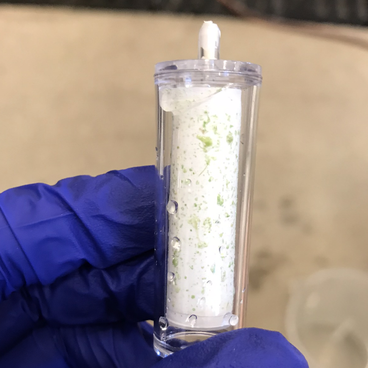 RNA extraction from Sterivex using phenol:chloroform - cutting off the ...