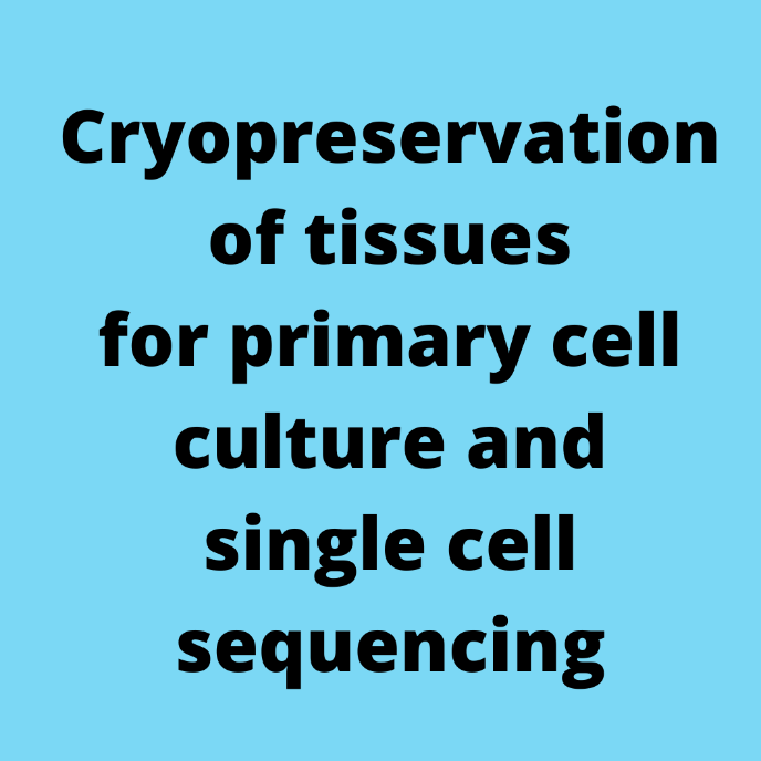 Cryopreservation of tissues for primary cell culture and single cell sequencing