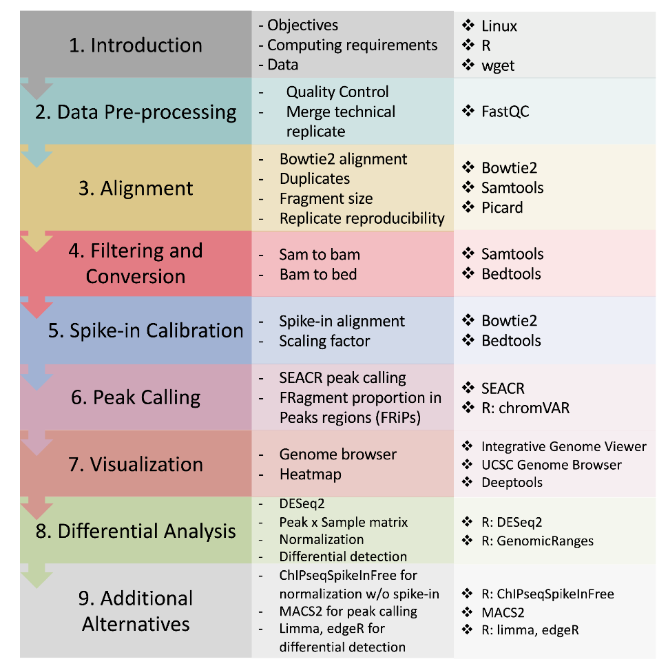CUT&Tag Data Processing and Analysis Tutorial