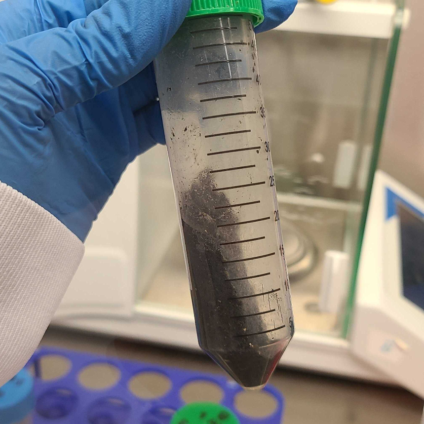 Extraction of RNA from Wastewater Primary Solids Using a Direct ...