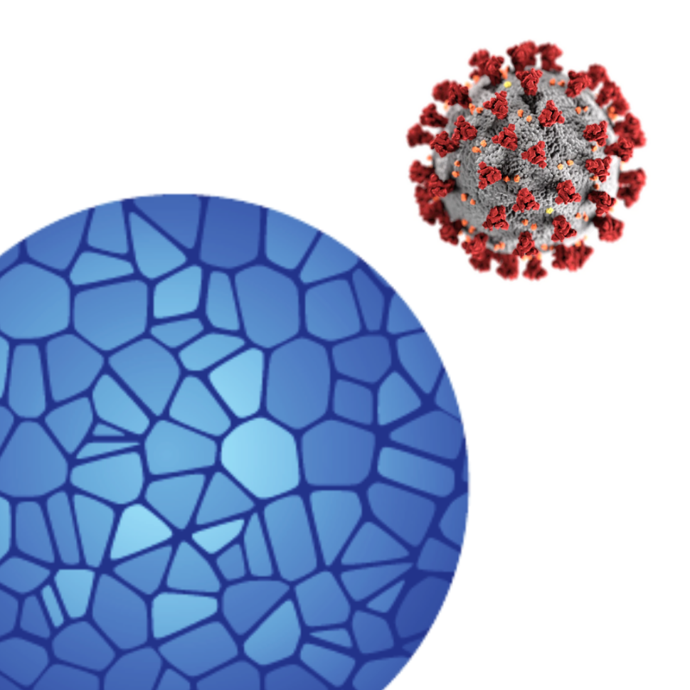 Human Nasopharyngeal Swab Processing for Viable Single-Cell Suspension