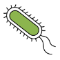 Icon representing the file Protein expression of hard-to-produce proteins in the cytoplasm of Escherichia coli