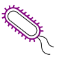 Icon representing the file Protein expression on the surface of Escherichia coli