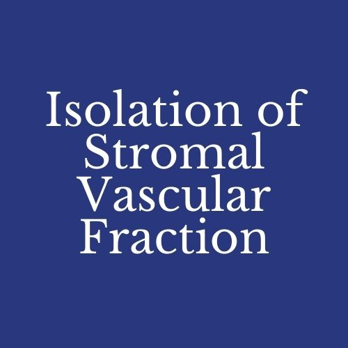 Isolation of Stromal Vascular Fraction (SVF) from mouse brown adipose tissue (BAT) for single cell RNA-seq