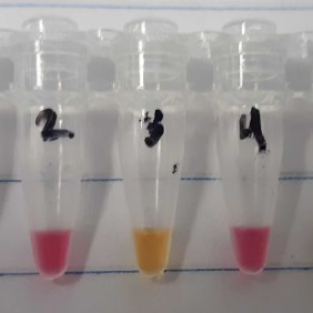 One Hour Covid Test Protocol