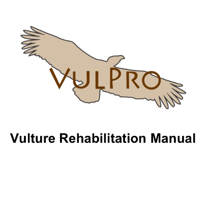 Icon representing the file Chapter 2: Stabilizing the bird, conducting an initial clinical exam