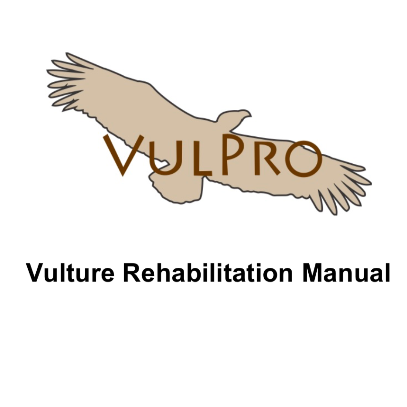 Icon representing the file Chapter 8: Managing sick and injured vulture admissions