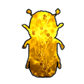 PCR for amplification of bark beetles or fungal DNA