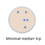 Testing safety mechanism