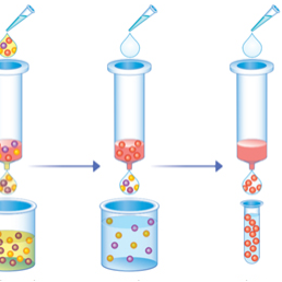 His-tag purification 