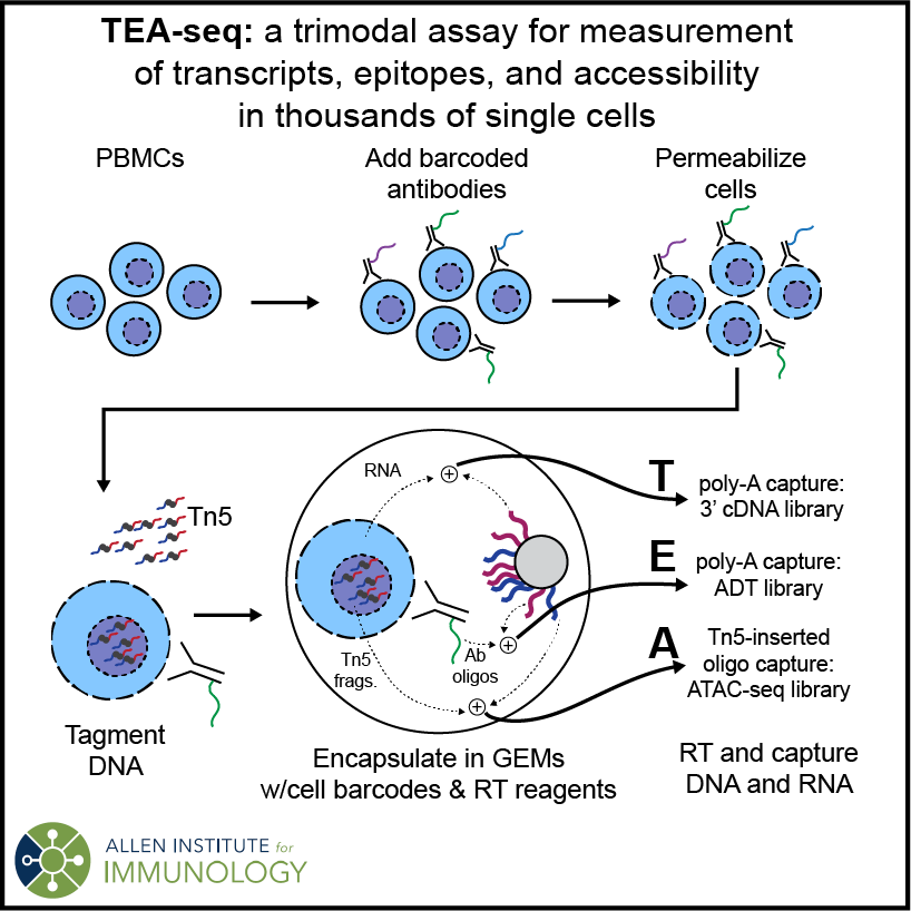 TEA-seq