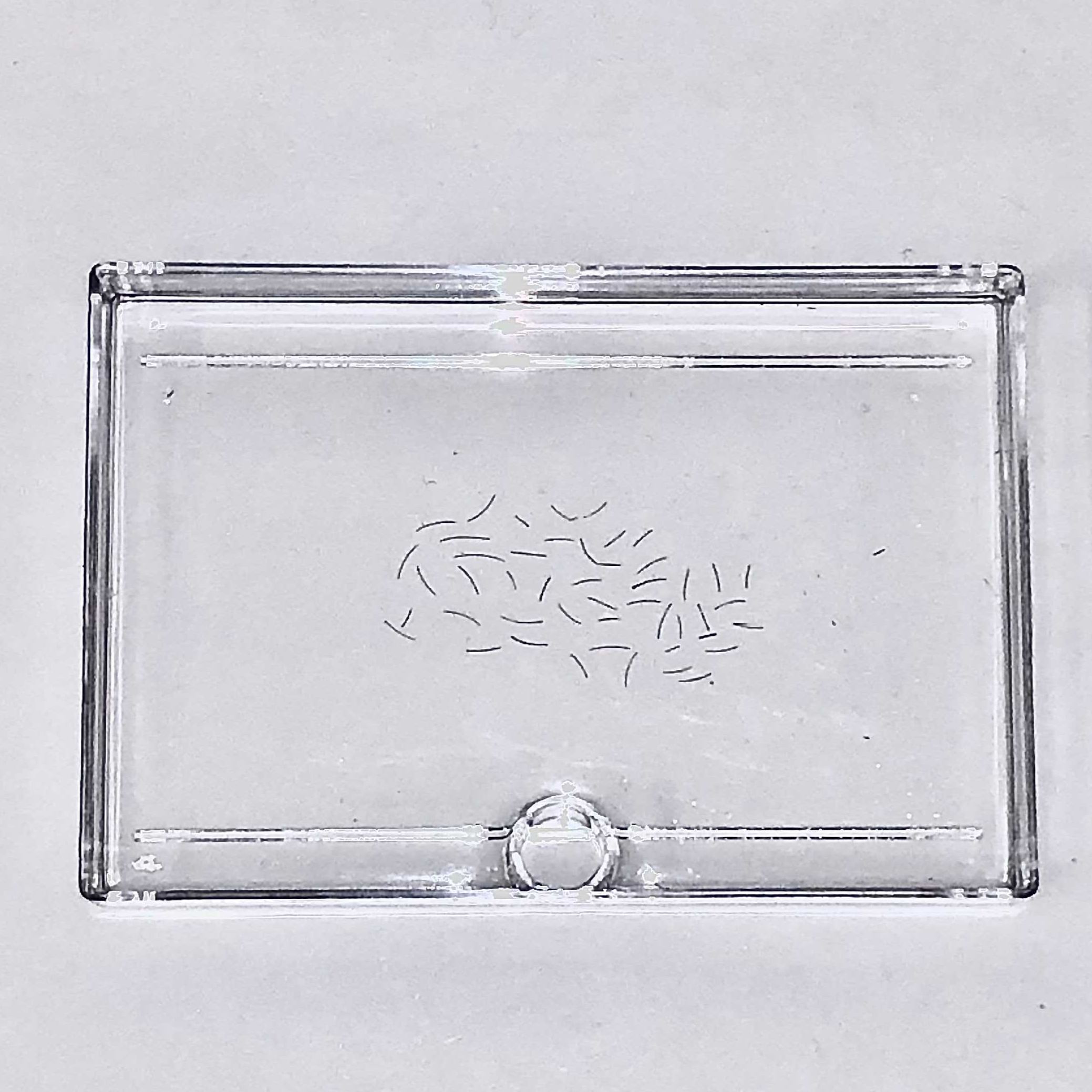 Sample preparation protocol for hair fiber curvature analysis