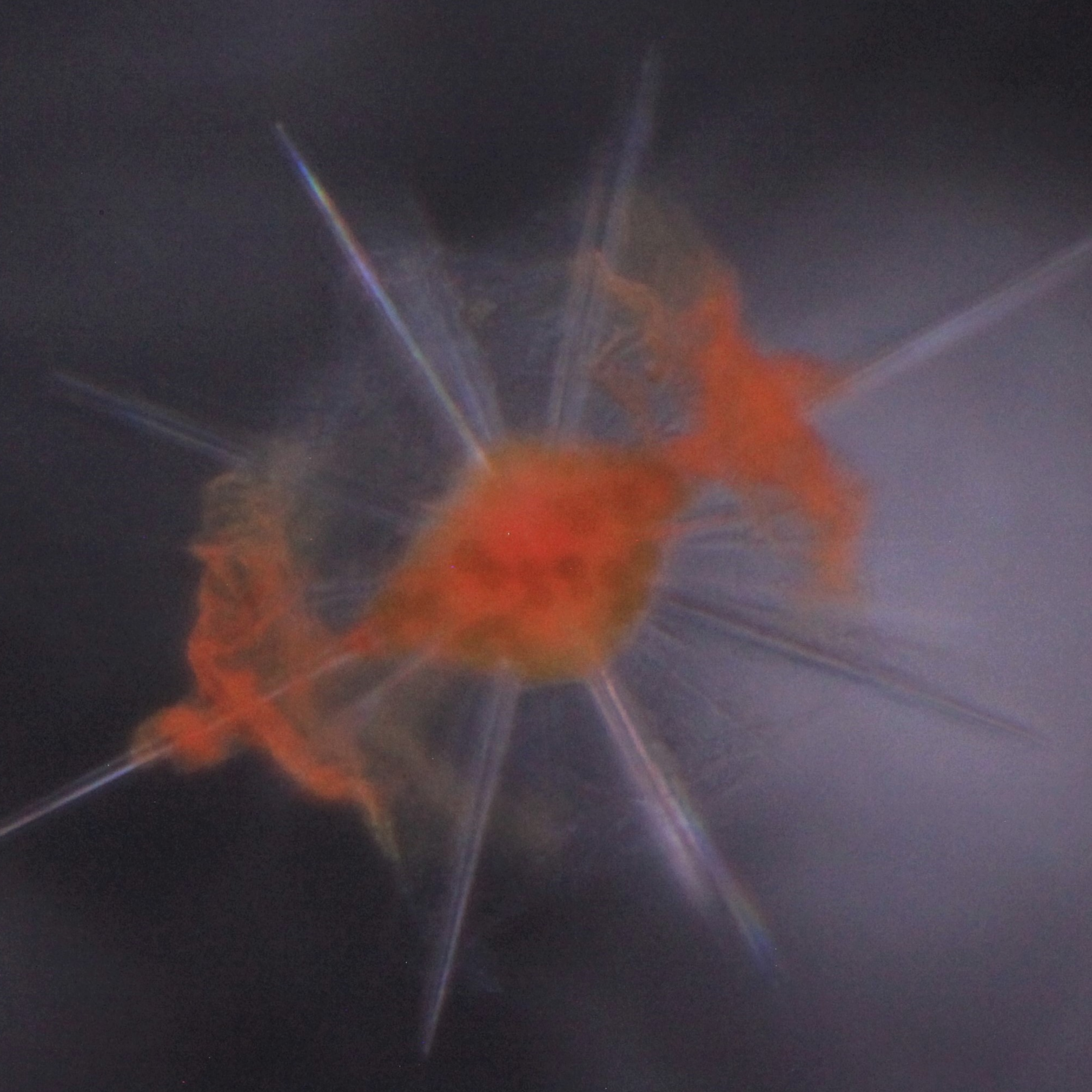 Icon representing the file Isolation of clean single-cell samples for physiological or molecular experiments (Radiolaria, Acantharia)