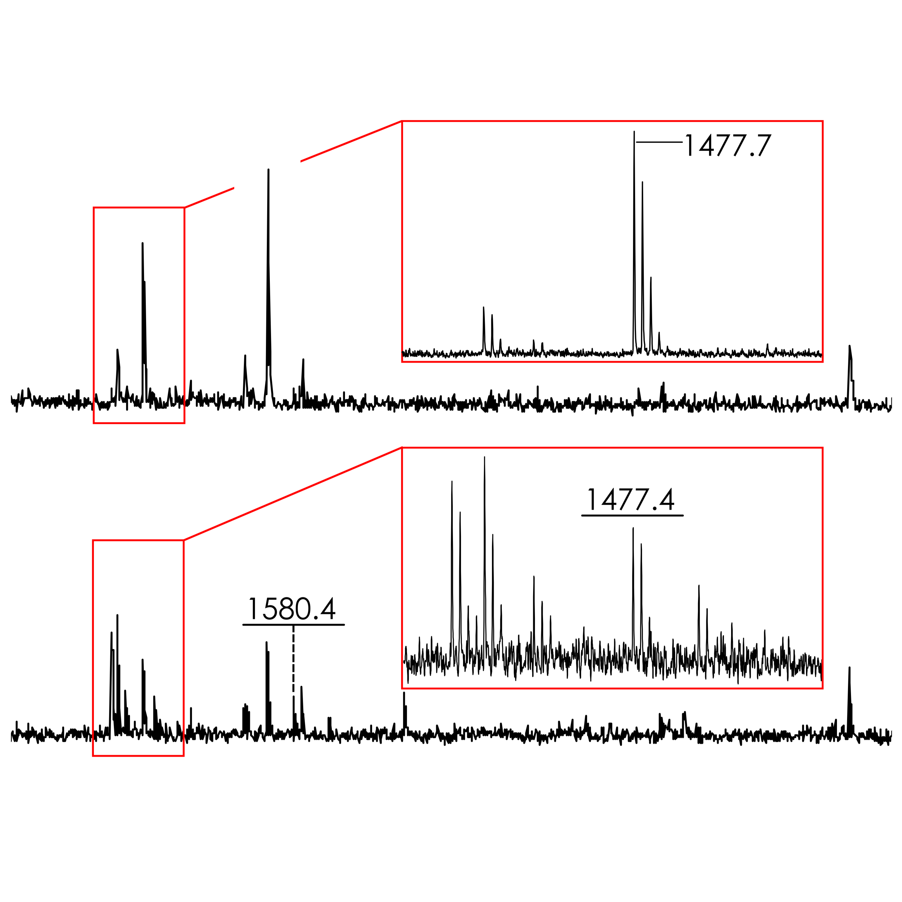 Mmass Identifying ZooMS Spectra (mammals) using mMass