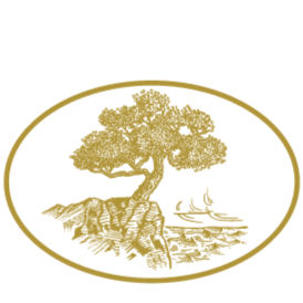 Veiled Chameleons (Chamaeleo calyptratus) 2021 Environmental Summary, Reptile & Aquatics, Stowers Institute for Medical Research