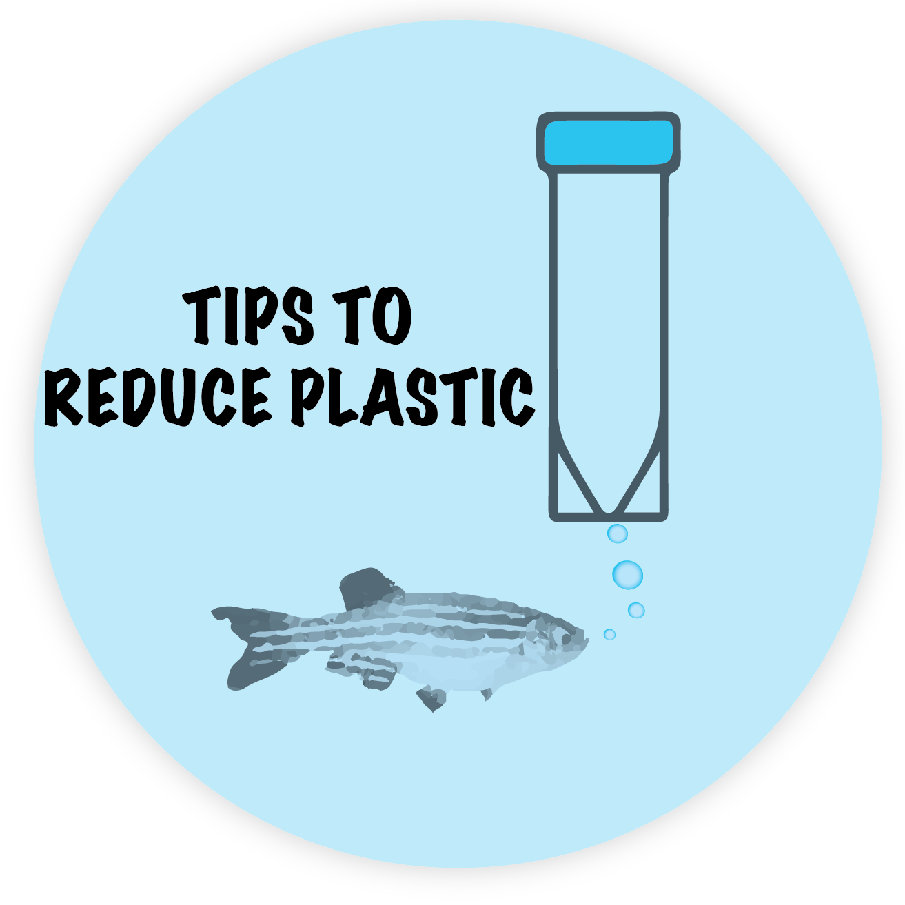 “Green” WHOLE-MOUNT IN SITU HYBRIDIZATION/ Immunostaining/TUNEL on zebrafish embryos