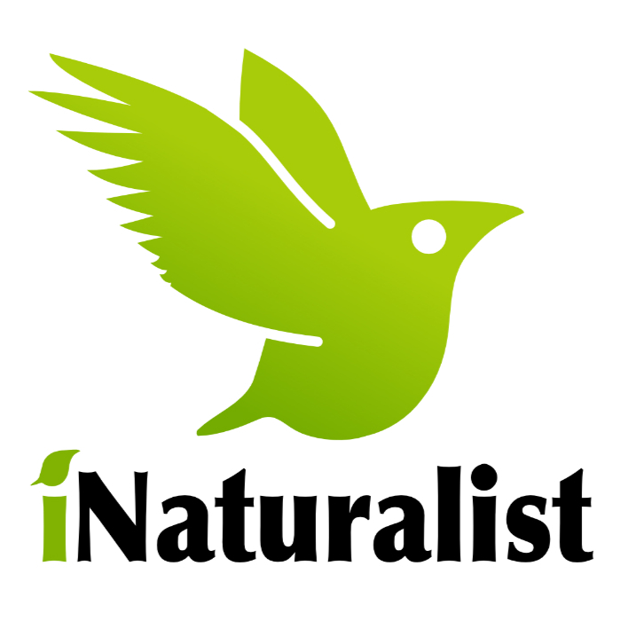 iNaturalist Protocol