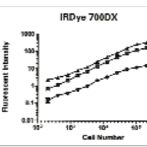 Labeling of Fixed Cells with IRDye® NHS Ester Reactive Dyes for In-Cell Western™ Assay Normalization