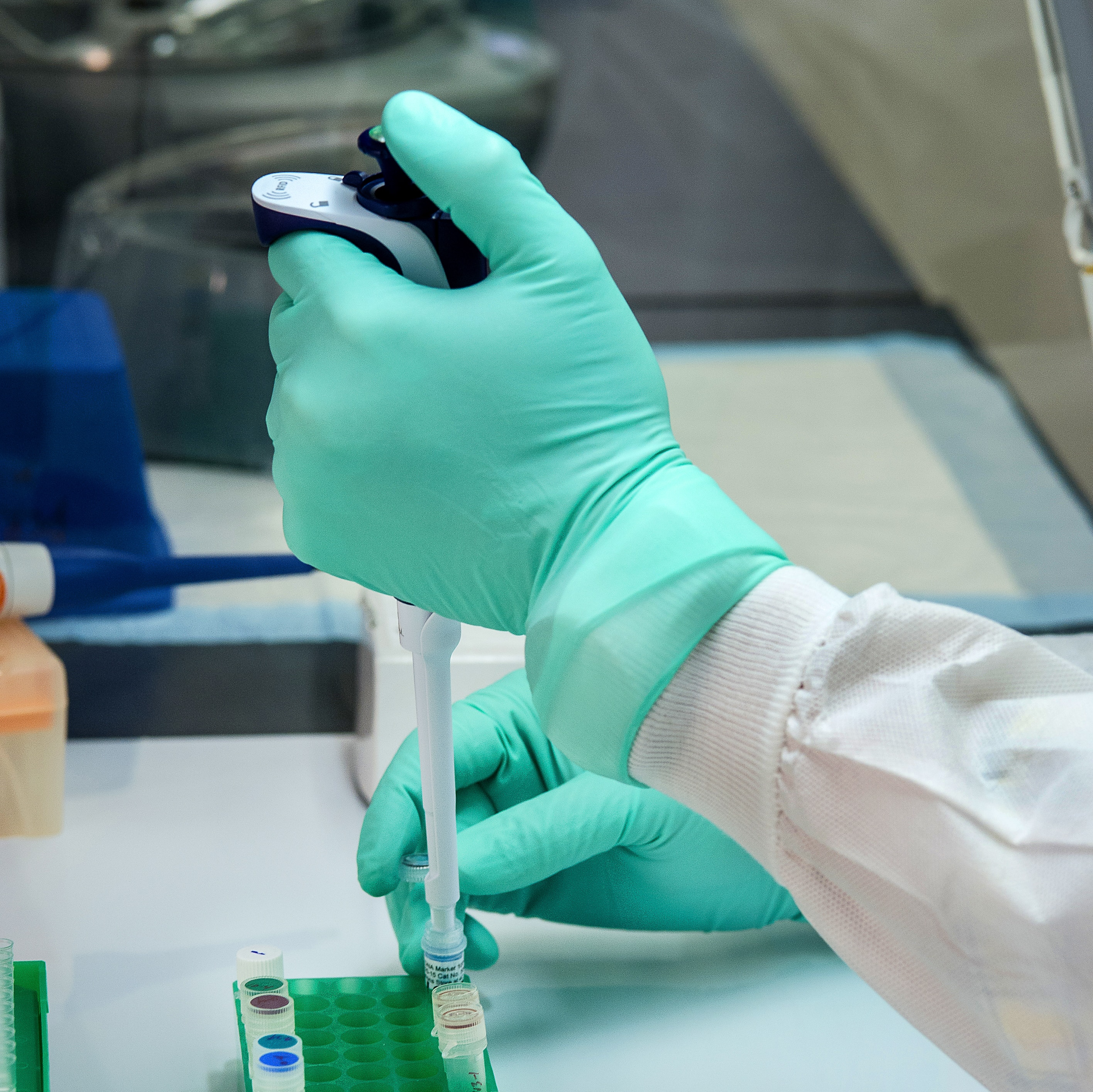 RNA Extraction Protocol for Leaves with High Content of Secondary Metabolites