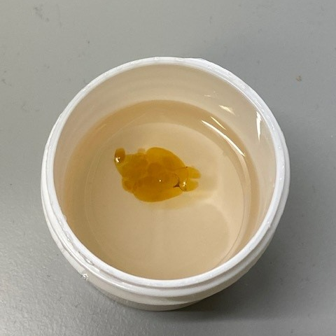 Whole Mouse Brain Delipidation - LifeCanvas Active