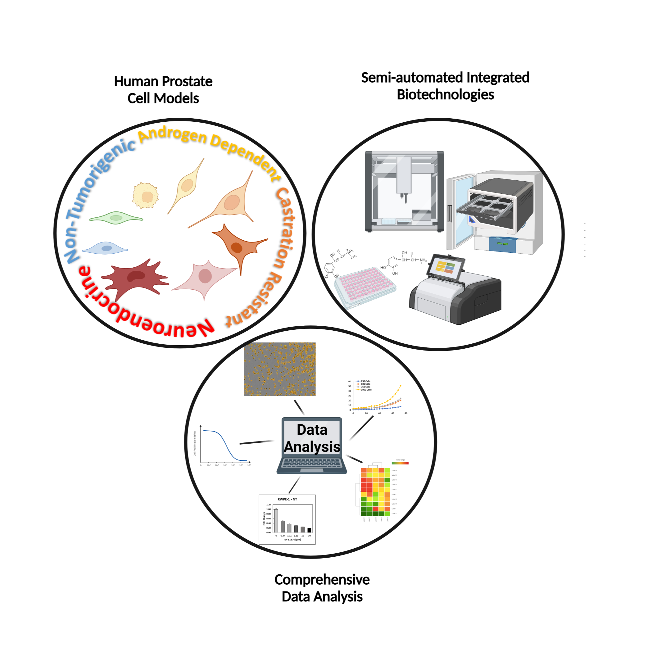 Icon representing the file 96-well plate OT-2 liquid handler integrated live-cell and endpoint viability drug activity screen