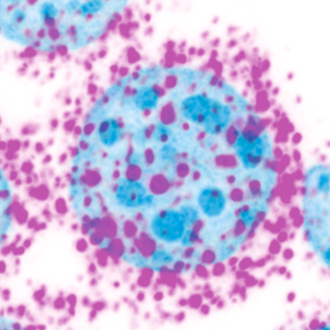 origamiFISH (Cell Culture)