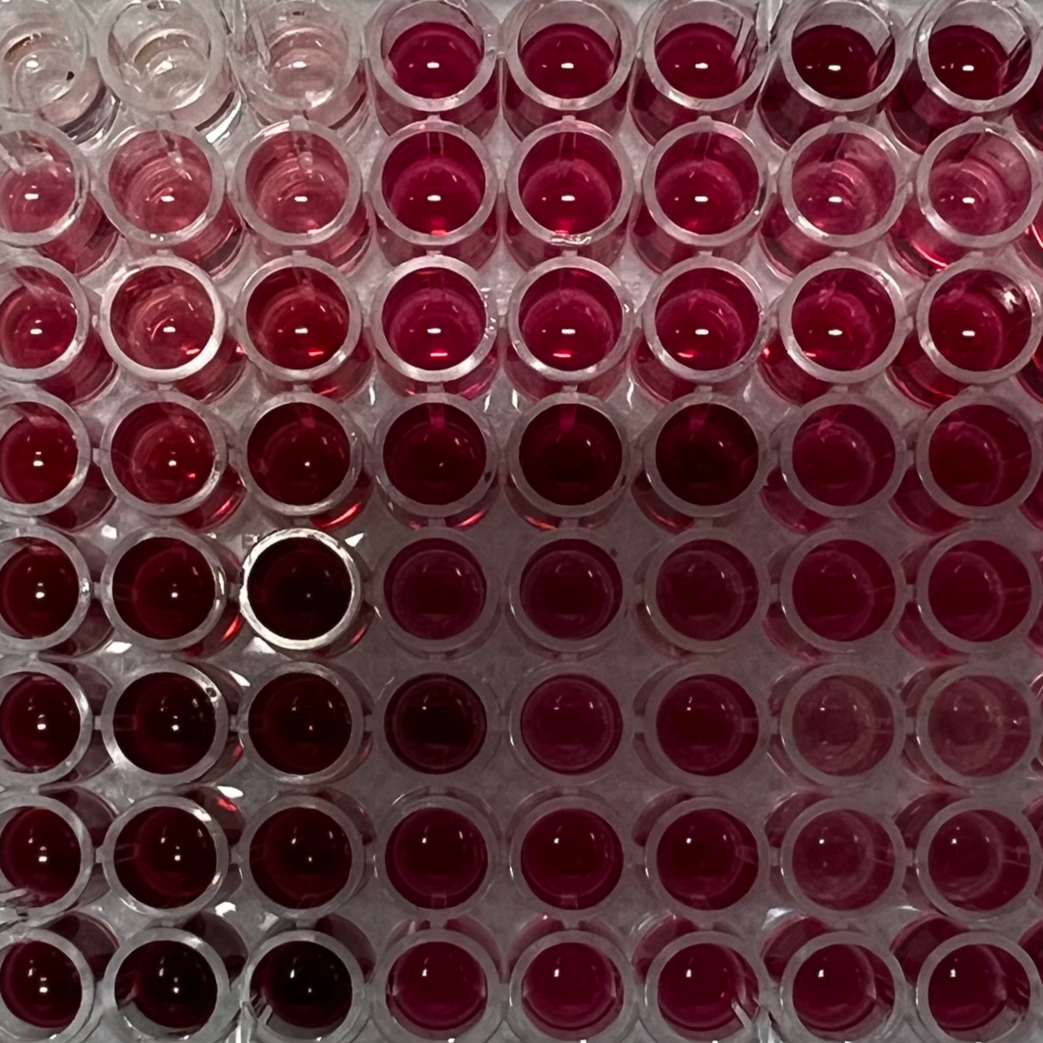 Total lipid content analysis for coral samples