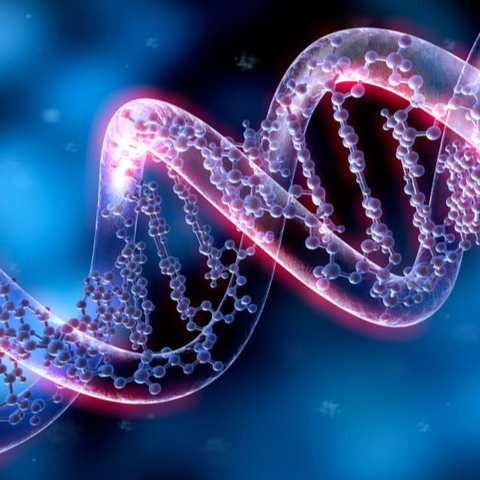 CFTR Long Read Sequencing Protocol using Oxford Nanopore Technology 