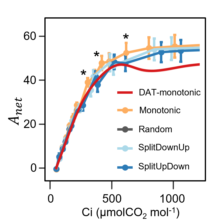 A/Ci method using Dynamic Assimilation Technique