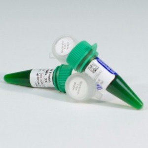 How to setup and perform a PCR experiment using GoTaq® G2 Master Mixes