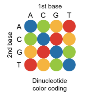 Fluorescent in situ sequencing (FISSEQ) of RNA for gene expression profiling in intact cells and tissues