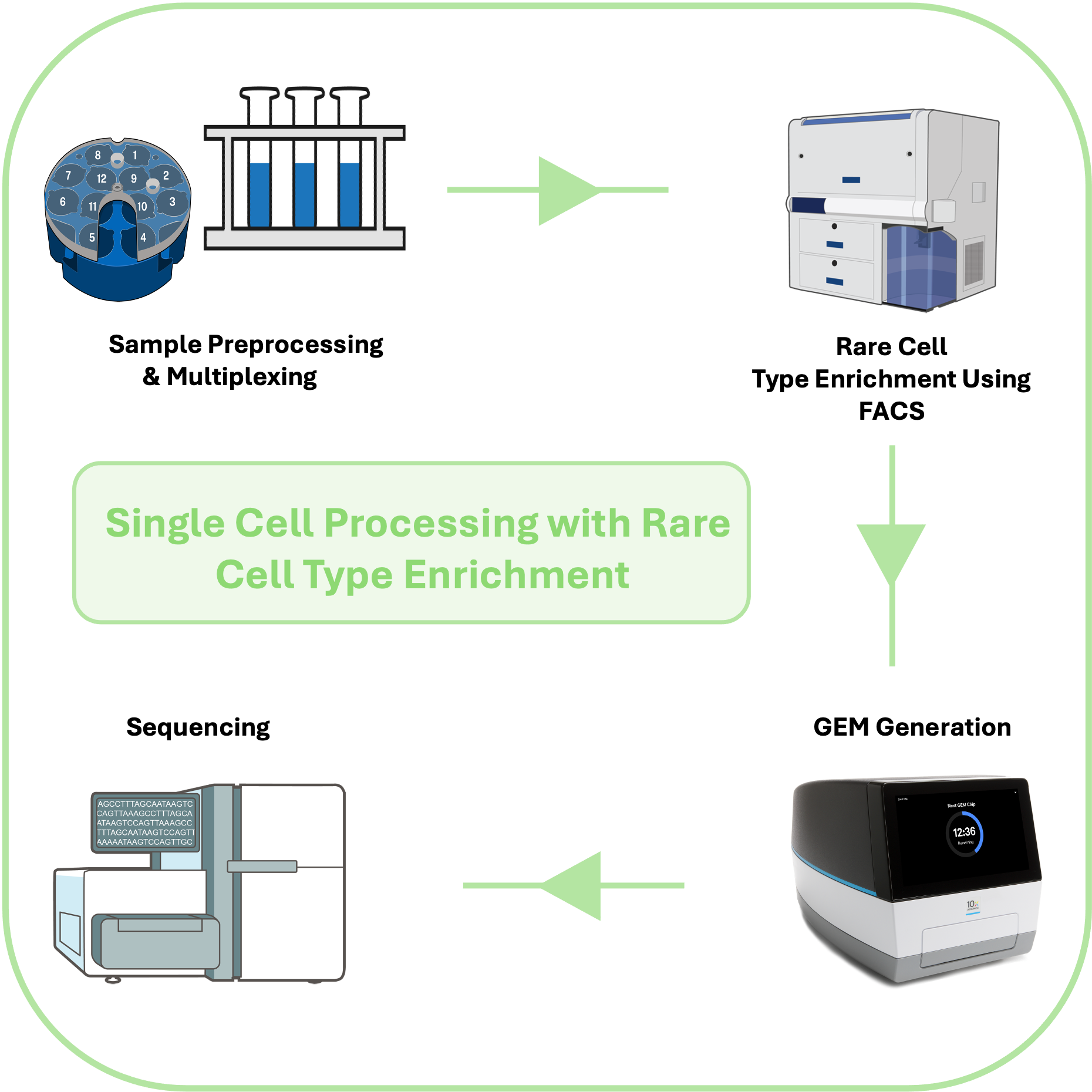 Sample-Multiplexed, FACS-Preprocessing of PBMCs with Rare Cell Type enrichment Enables Scalable scRNA-seq workflow