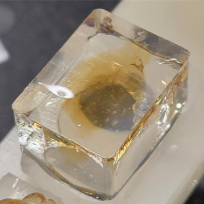 Whole Brain Embedding for SmartSPIM - EasyIndex with 2% Agarose