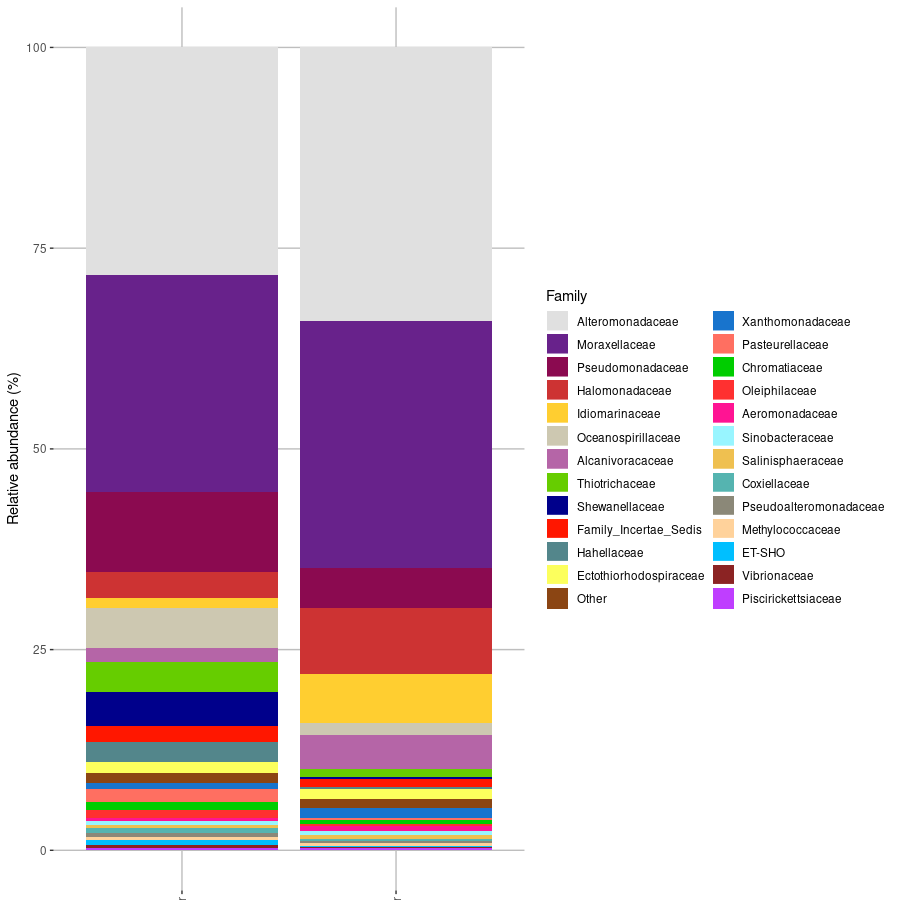 Bioinformatic workflow for Nanopore metabarcoding analysis
