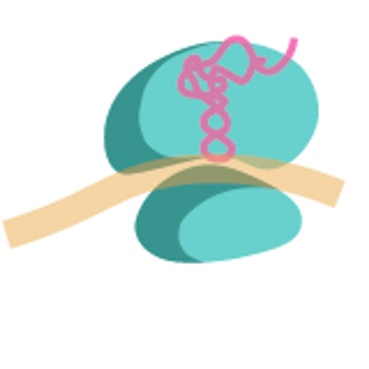tRIBO-seq: Selective profiling of translationally active tRNAs