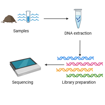 In situ species-level sequencing of seawater and sediment 