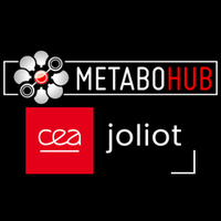 Untargeted Metabolomics : Extraction of stool Metabolites