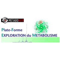 Fecal or caecal waters sample preparation for untargeted GCMS-based metabolomic