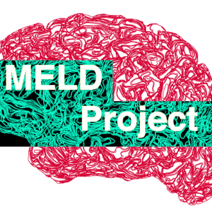 Meld Project