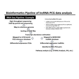 RNA-Seq analysis of long non-coding RNAs and protein-coding gene pairs ...